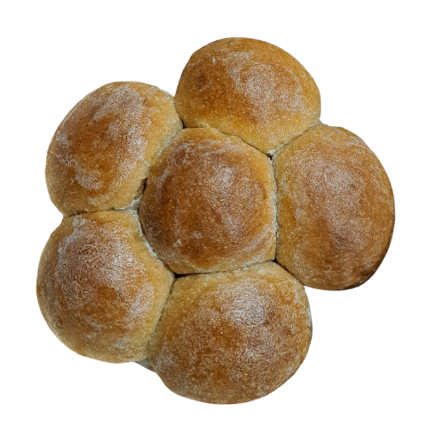 Six whole wheat dinner rolls